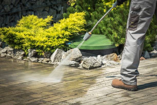 Best Roof Washing  in Southside Place, TX