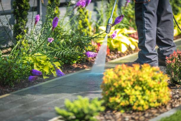 Best Sidewalk and Walkway Cleaning  in Southside Place, TX